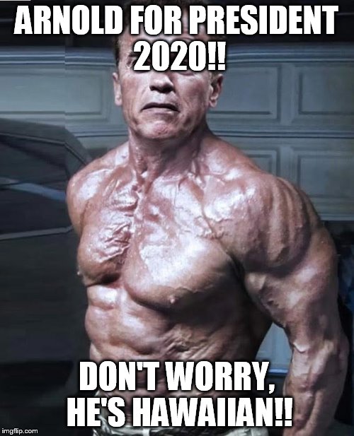 arnold for president | ARNOLD FOR PRESIDENT 2020!! DON'T WORRY, HE'S HAWAIIAN!! | image tagged in arnold schwarzenegger | made w/ Imgflip meme maker