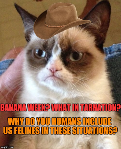 Grumpy Cat Meme | BANANA WEEK? WHAT IN TARNATION? WHY DO YOU HUMANS INCLUDE US FELINES IN THESE SITUATIONS? | image tagged in memes,grumpy cat | made w/ Imgflip meme maker