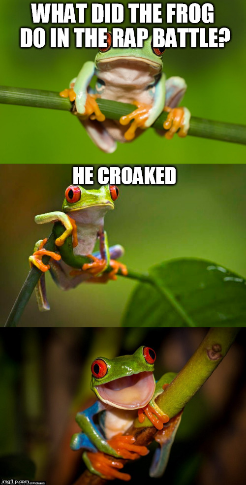 Frog Puns | WHAT DID THE FROG DO IN THE RAP BATTLE? HE CROAKED | image tagged in frog puns | made w/ Imgflip meme maker