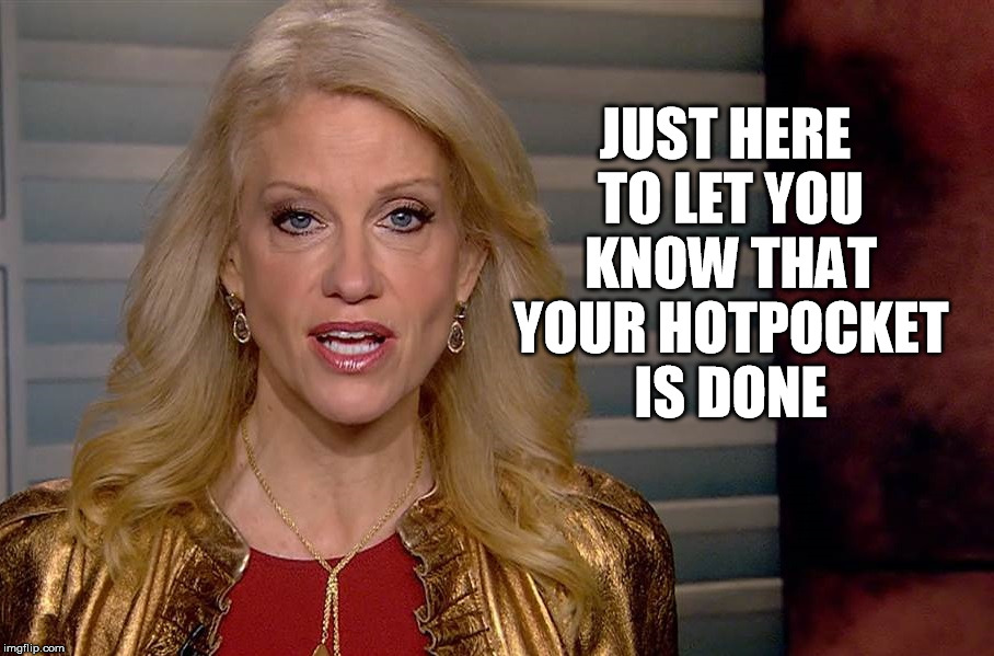 Your microwave is watching you. | JUST HERE TO LET YOU KNOW THAT YOUR HOTPOCKET IS DONE | image tagged in kellyanne conway,wiretapping | made w/ Imgflip meme maker