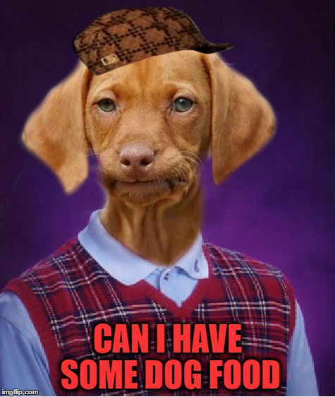 Bad Luck Raydog | CAN I HAVE SOME DOG FOOD | image tagged in bad luck raydog,scumbag | made w/ Imgflip meme maker