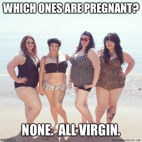 WHICH ONES ARE PREGNANT? NONE.  ALL VIRGIN. | made w/ Imgflip meme maker