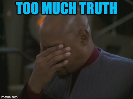 Captain Sisko Facepalm | TOO MUCH TRUTH | image tagged in captain sisko facepalm | made w/ Imgflip meme maker