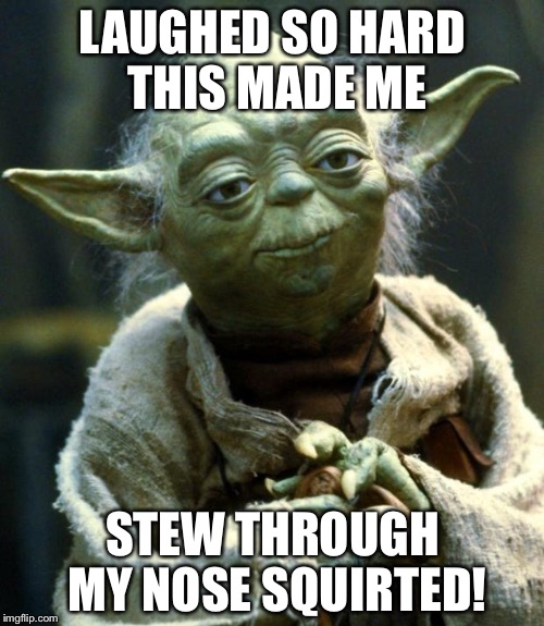 Star Wars Yoda Meme | LAUGHED SO HARD THIS MADE ME STEW THROUGH MY NOSE SQUIRTED! | image tagged in memes,star wars yoda | made w/ Imgflip meme maker