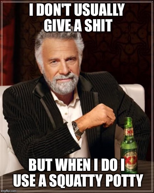 The Most Interesting Man In The World Meme | I DON'T USUALLY GIVE A SHIT; BUT WHEN I DO I USE A SQUATTY POTTY | image tagged in memes,the most interesting man in the world | made w/ Imgflip meme maker