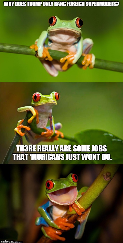 #kekeistaniHumor | WHY DOES TRUMP ONLY BANG FOREIGN SUPERMODELS? TH3RE REALLY ARE SOME JOBS THAT 'MURICANS JUST WONT DO. | image tagged in frog puns,bad pun trump,donald trump approves | made w/ Imgflip meme maker