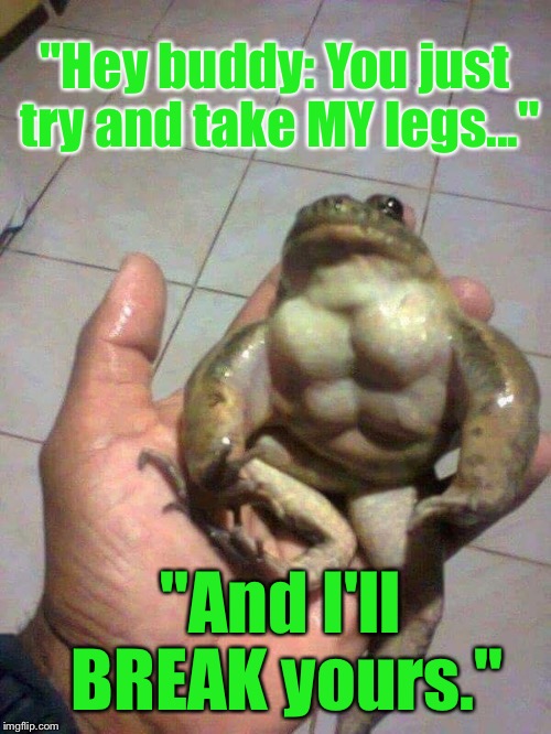 ...Which Is Why I Wouldn't Eat Froglegs | "Hey buddy: You just try and take MY legs..."; "And I'll BREAK yours." | image tagged in memes,animals,food | made w/ Imgflip meme maker