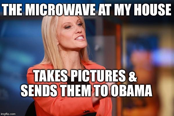 Kellyanne Conway | THE MICROWAVE AT MY HOUSE; TAKES PICTURES & SENDS THEM TO OBAMA | image tagged in kellyanne conway | made w/ Imgflip meme maker