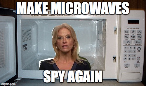 microwave-surveillance-imgflip