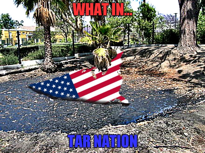 What in tarnation week a santadude event... | WHAT IN... TAR NATION | image tagged in what in tarnation week | made w/ Imgflip meme maker