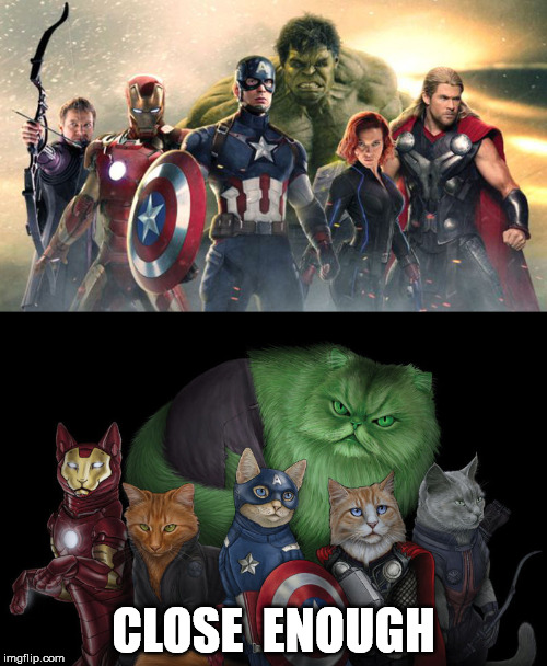 CLOSE  ENOUGH | image tagged in avenger cats | made w/ Imgflip meme maker