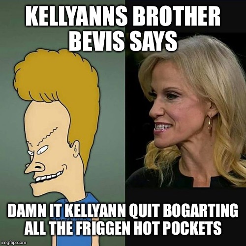 Damn it KellyAnn | KELLYANNS BROTHER BEVIS SAYS DAMN IT KELLYANN QUIT BOGARTING ALL THE FRIGGEN HOT POCKETS | image tagged in memes,fake news,political meme,political | made w/ Imgflip meme maker