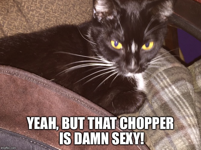 YEAH, BUT THAT CHOPPER IS DAMN SEXY! | made w/ Imgflip meme maker