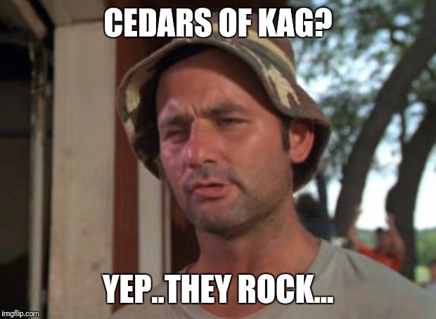 So I Got That Goin For Me Which Is Nice | CEDARS OF KAG? YEP..THEY ROCK... | image tagged in memes,so i got that goin for me which is nice | made w/ Imgflip meme maker