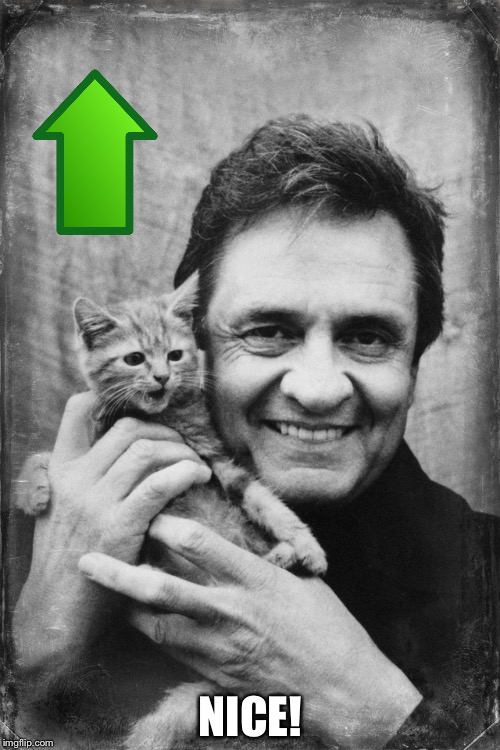 Johnny Cash Cat | NICE! | image tagged in johnny cash cat | made w/ Imgflip meme maker