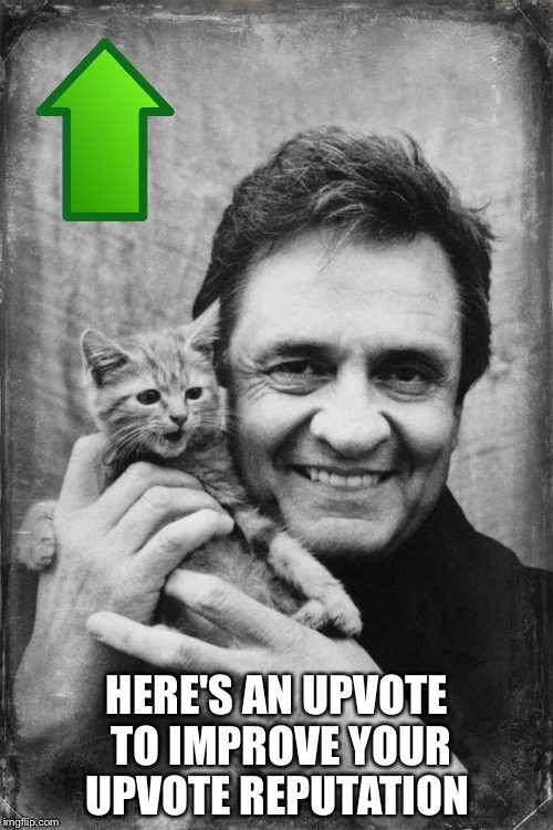 Johnny Cash Cat | HERE'S AN UPVOTE TO IMPROVE YOUR UPVOTE REPUTATION | image tagged in johnny cash cat | made w/ Imgflip meme maker