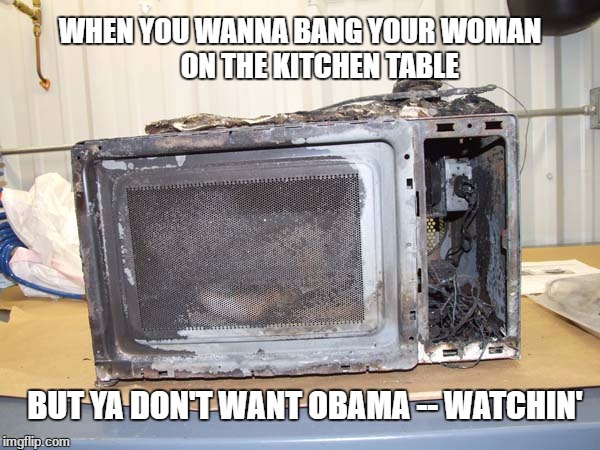 WHEN YOU WANNA BANG YOUR WOMAN       ON THE KITCHEN TABLE; BUT YA DON'T WANT OBAMA -- WATCHIN' | image tagged in kellyanne conway,microwave,obama,wiretapping | made w/ Imgflip meme maker