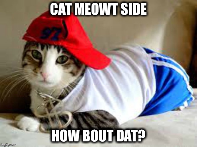 CAT MEOWT SIDE; HOW BOUT DAT? | image tagged in cat,cash me outside | made w/ Imgflip meme maker