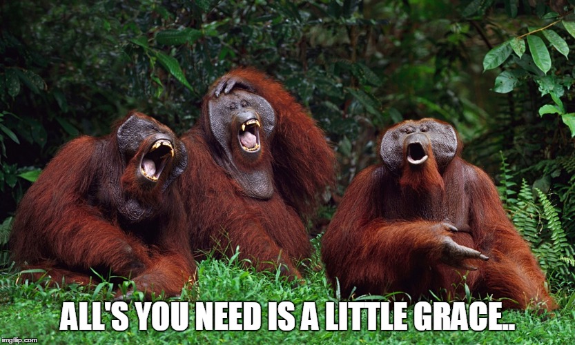 laughing orangutans | ALL'S YOU NEED IS A LITTLE GRACE.. | image tagged in laughing orangutans | made w/ Imgflip meme maker
