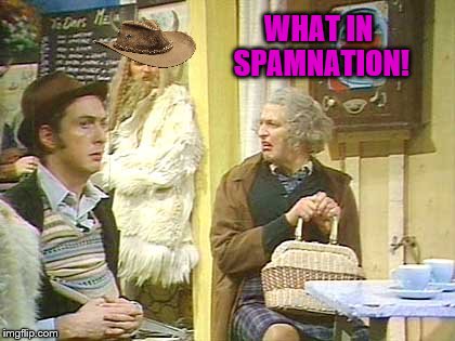 SPAM!  | WHAT IN SPAMNATION! | image tagged in spam,what in tarnation week,monty python week | made w/ Imgflip meme maker