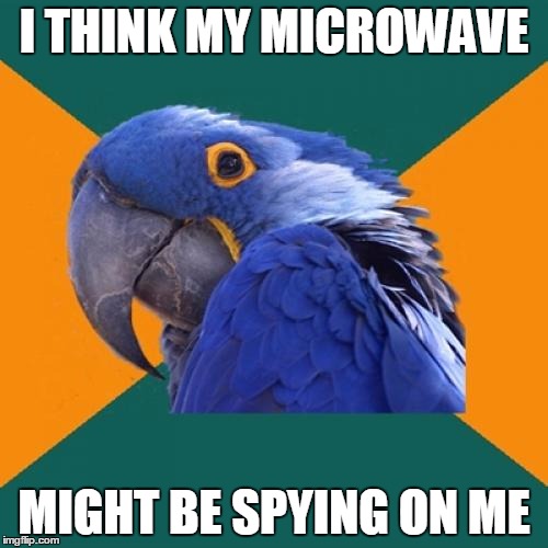 Paranoid Parrot | I THINK MY MICROWAVE; MIGHT BE SPYING ON ME | image tagged in memes,paranoid parrot | made w/ Imgflip meme maker