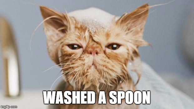 Greyjoy wet cat | WASHED A SPOON | image tagged in greyjoy wet cat | made w/ Imgflip meme maker