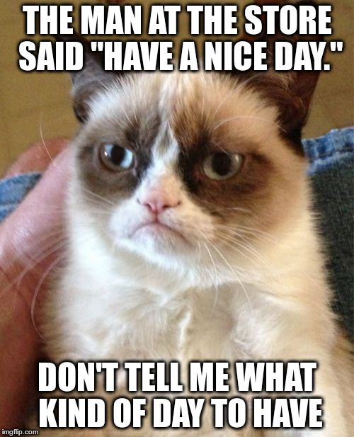 Grumpy Cat | THE MAN AT THE STORE SAID "HAVE A NICE DAY."; DON'T TELL ME WHAT KIND OF DAY TO HAVE | image tagged in memes,grumpy cat | made w/ Imgflip meme maker