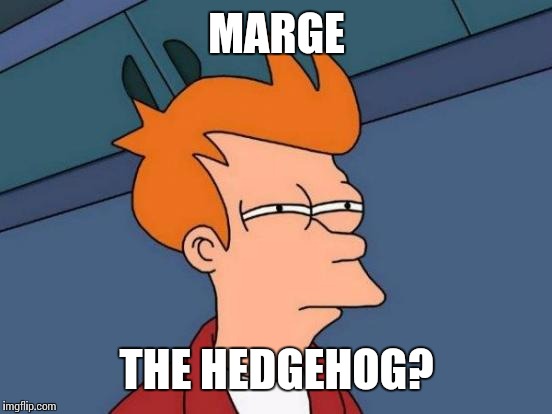 Futurama Fry Meme | MARGE THE HEDGEHOG? | image tagged in memes,futurama fry | made w/ Imgflip meme maker