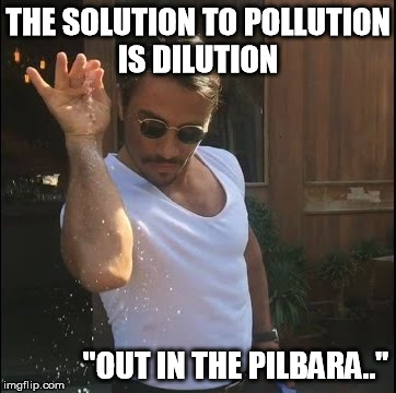 salt bae | THE SOLUTION TO POLLUTION IS DILUTION; "OUT IN THE PILBARA.." | image tagged in salt bae | made w/ Imgflip meme maker