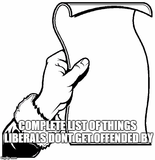 COMPLETE LIST OF THINGS LIBERALS DONT GET OFFENDED BY | image tagged in liberals,offends | made w/ Imgflip meme maker