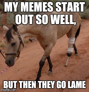 Fantastically funny title | MY MEMES START OUT SO WELL, BUT THEN THEY GO LAME | image tagged in lame,memes | made w/ Imgflip meme maker