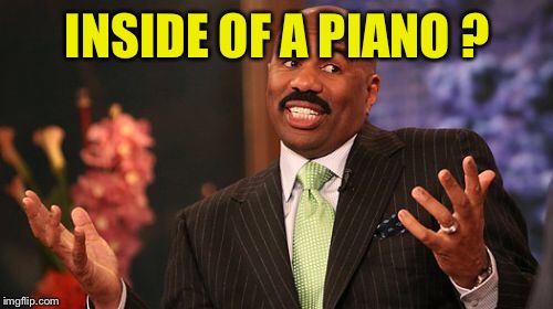 Steve Harvey Meme | INSIDE OF A PIANO ? | image tagged in memes,steve harvey | made w/ Imgflip meme maker