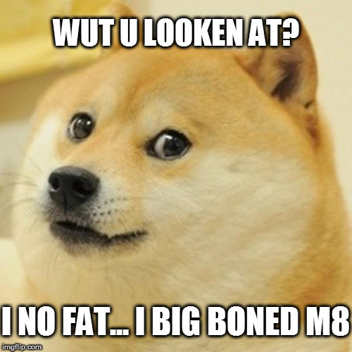 Doge Meme | WUT U LOOKEN AT? I NO FAT... I BIG BONED M8 | image tagged in memes,doge | made w/ Imgflip meme maker