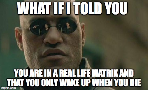 You are in the Matrix | WHAT IF I TOLD YOU; YOU ARE IN A REAL LIFE MATRIX AND THAT YOU ONLY WAKE UP WHEN YOU DIE | image tagged in memes,matrix morpheus | made w/ Imgflip meme maker