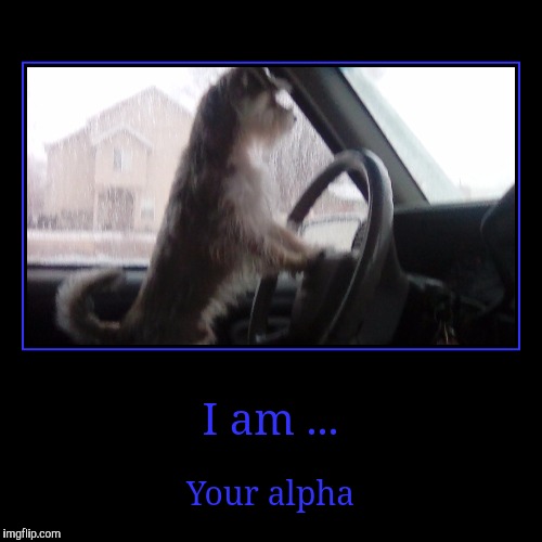 image tagged in funny,demotivationals | made w/ Imgflip demotivational maker