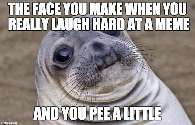 Awkward Moment Sealion | THE FACE YOU MAKE WHEN YOU REALLY LAUGH HARD AT A MEME; AND YOU PEE A LITTLE | image tagged in memes,awkward moment sealion | made w/ Imgflip meme maker