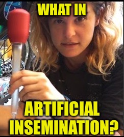 WHAT IN; ARTIFICIAL INSEMINATION? | image tagged in what in tarnation week,what in tarnation,artificial insemination | made w/ Imgflip meme maker