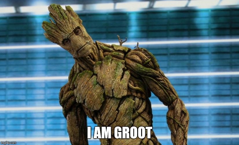 I AM GROOT | made w/ Imgflip meme maker
