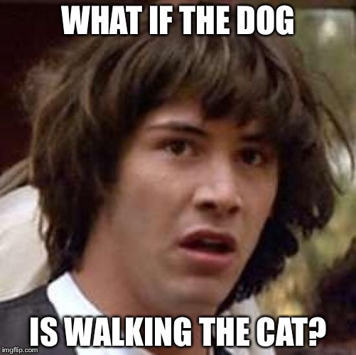Conspiracy Keanu Meme | WHAT IF THE DOG IS WALKING THE CAT? | image tagged in memes,conspiracy keanu | made w/ Imgflip meme maker