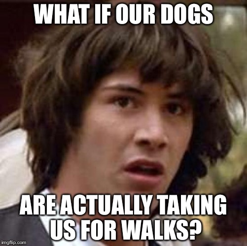 Who knows... | WHAT IF OUR DOGS; ARE ACTUALLY TAKING US FOR WALKS? | image tagged in memes,conspiracy keanu,funny,dank memes,dank | made w/ Imgflip meme maker