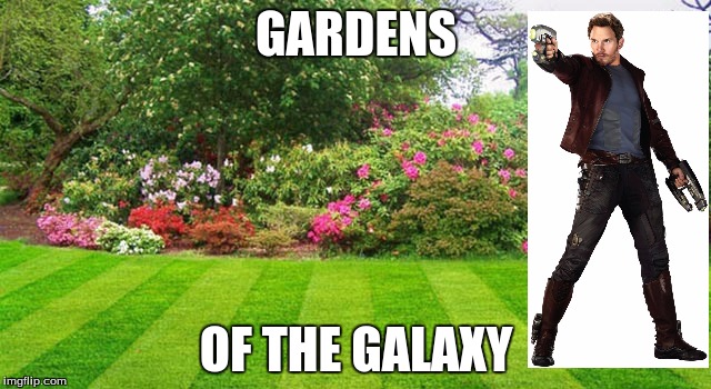 GARDENS; OF THE GALAXY | image tagged in chris pratt | made w/ Imgflip meme maker