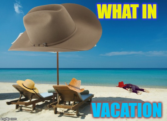 what in tarnation I need one of those!   | WHAT IN; VACATION | image tagged in memes,what in tarnation week,vacation,day at the beach | made w/ Imgflip meme maker