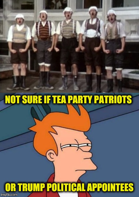 Monty Python politics | NOT SURE IF TEA PARTY PATRIOTS; OR TRUMP POLITICAL APPOINTEES | image tagged in monty python week,carpetmom,futurama fry,the gumbys | made w/ Imgflip meme maker