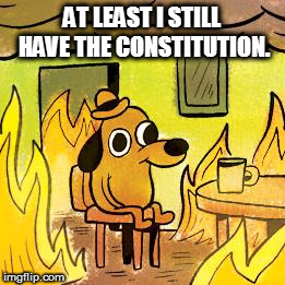 Dog in burning house | AT LEAST I STILL HAVE THE CONSTITUTION. | image tagged in dog in burning house | made w/ Imgflip meme maker