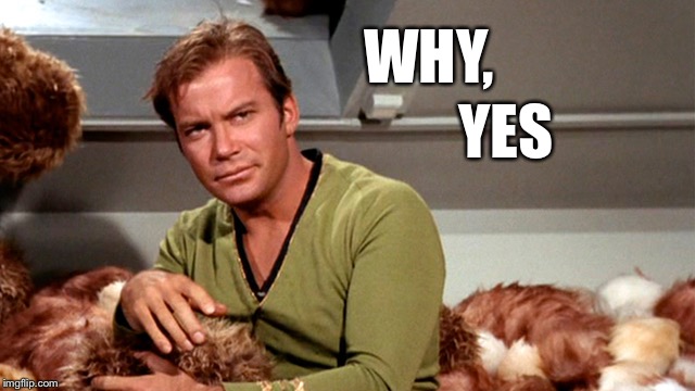 Kirk & Tribbles | WHY, YES | image tagged in kirk  tribbles | made w/ Imgflip meme maker