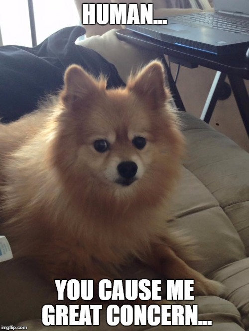 HUMAN... YOU CAUSE ME GREAT CONCERN... | made w/ Imgflip meme maker