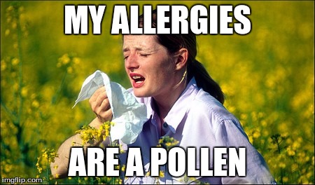 My Allergies Are A Pollen | MY ALLERGIES; ARE A POLLEN | image tagged in allergies,puns | made w/ Imgflip meme maker