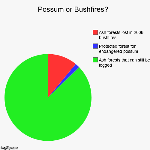 Possum or bushfire to blame?  | image tagged in forests,possum,logging,bushfire | made w/ Imgflip chart maker