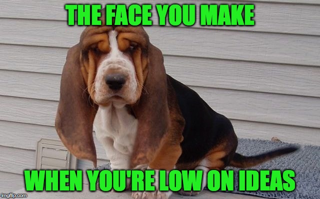 Off Day :-/ oh, well, we all get those, eh? | THE FACE YOU MAKE; WHEN YOU'RE LOW ON IDEAS | image tagged in cute pup | made w/ Imgflip meme maker