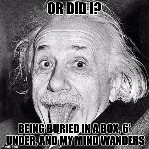 tongue out Einstein  | OR DID I? BEING BURIED IN A BOX, 6' UNDER, AND MY MIND WANDERS | image tagged in tongue out einstein | made w/ Imgflip meme maker